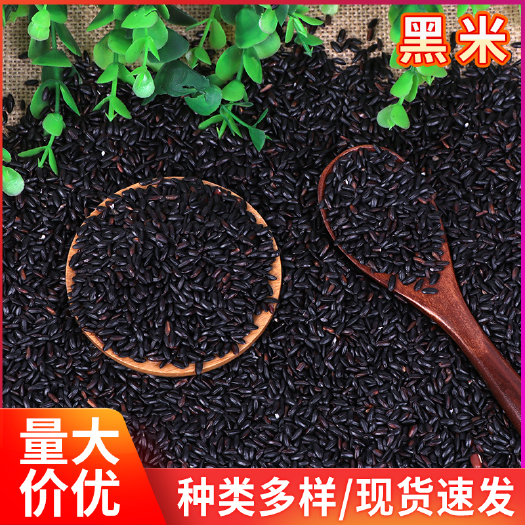 临沂 批发东北黑米煲粥粗粮袋装黑米黑香米农家自产五谷杂粮黑米
