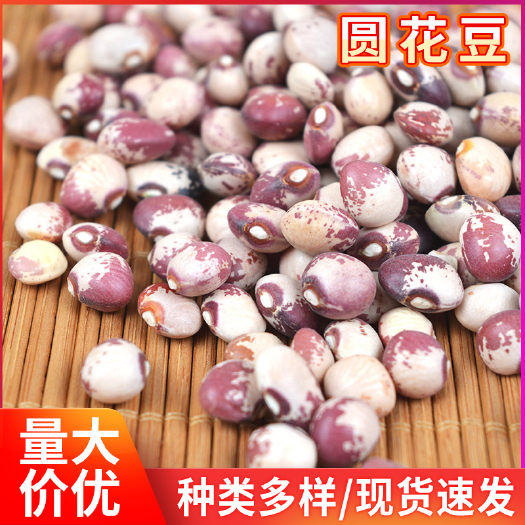 批发奶花豆圆花芸豆五谷杂粮袋装25公斤小花豆熊猫豆可代加工