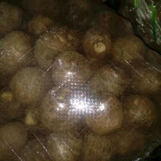 沂南县毛芋头  只发统货，质量很好，颜色很好看，需要的老板来订购了大量现货