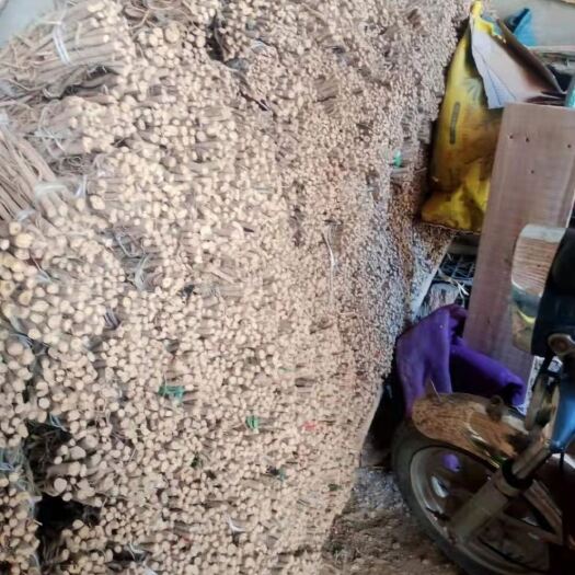 通渭县 自家种植的无化肥农药的干黄芪