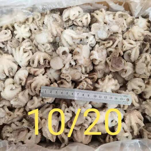 成都章鱼 研磨八爪鱼8斤