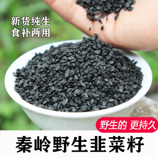 亳州韭菜子  韭菜籽