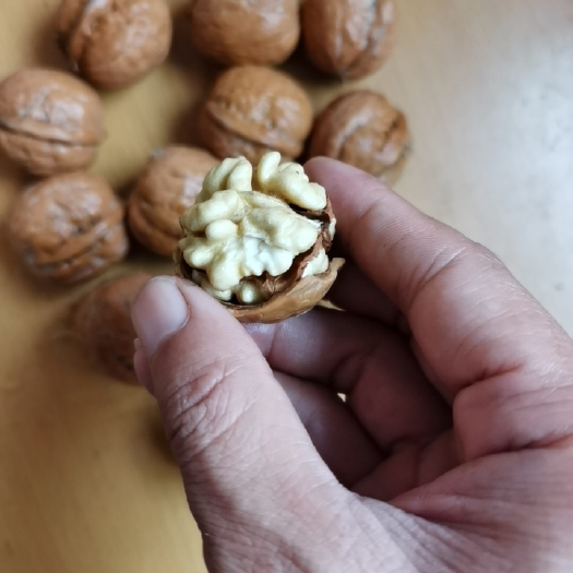 灵宝市 新疆薄皮核桃，皮薄仁鲜，产地直供，物美价廉