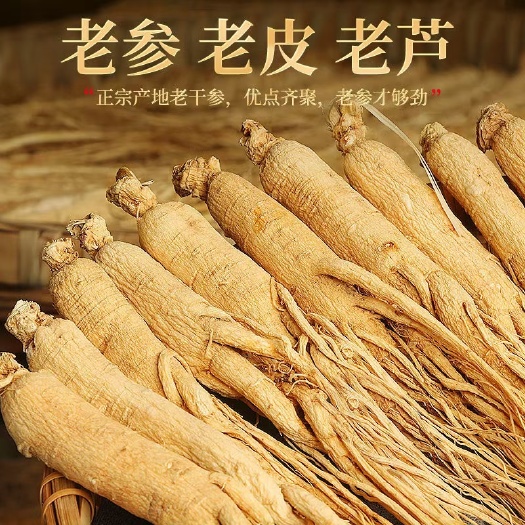 园参  [包邮]精选长白山8年人参生晒参干参无硫熏保真假一倍