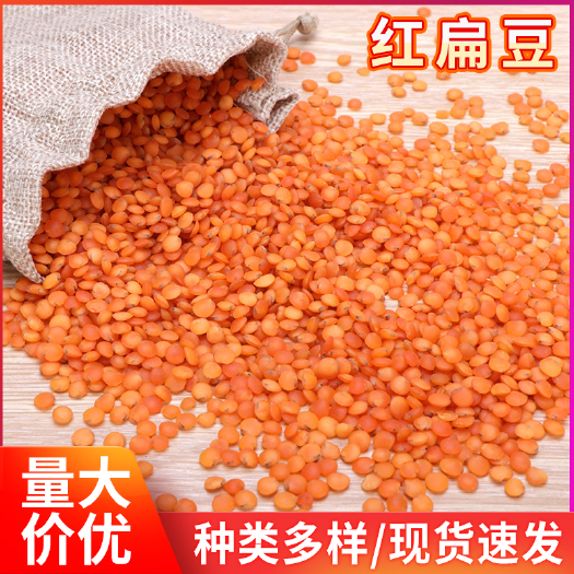 临沂干扁豆  五谷粗粮红扁豆批发 去皮土耳其红扁豆 八宝粥原料马粟豆红扁豆