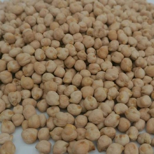 临沂鹰嘴豆 新货 颗粒饱满 营养丰富 易吸收