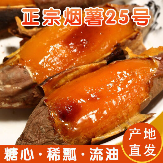 莒南县烟薯  正宗蜜薯25批发紫薯紫罗兰板栗薯济薯26 西瓜红红薯