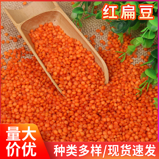 临沂干扁豆  红扁豆杂粮整粒红扁豆马粟豆新货脱皮红扁豆粗粮去皮红扁豆现货