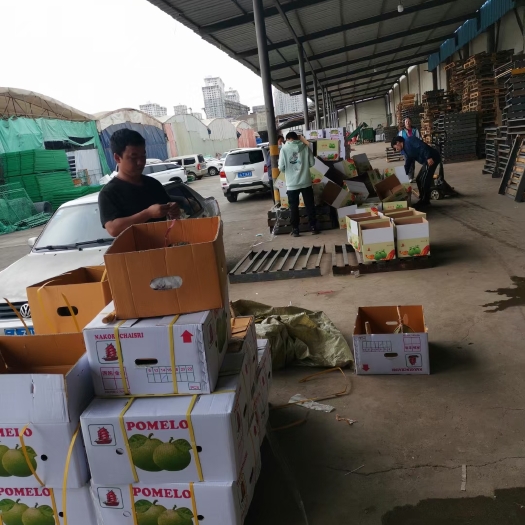 昆明泰国青金柚14-26头，净果17公斤，一帆风顺12