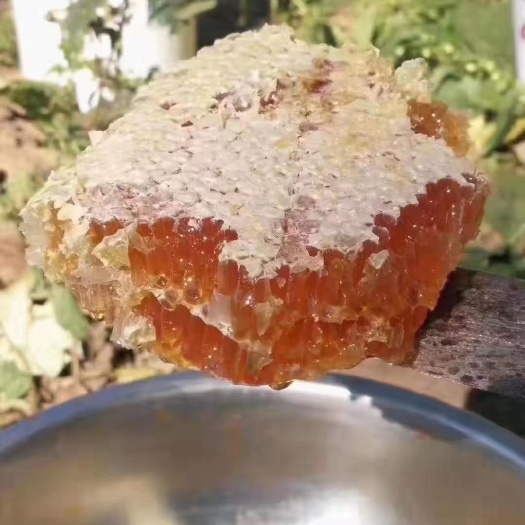 九寨沟县自家圆桶蜂蜜