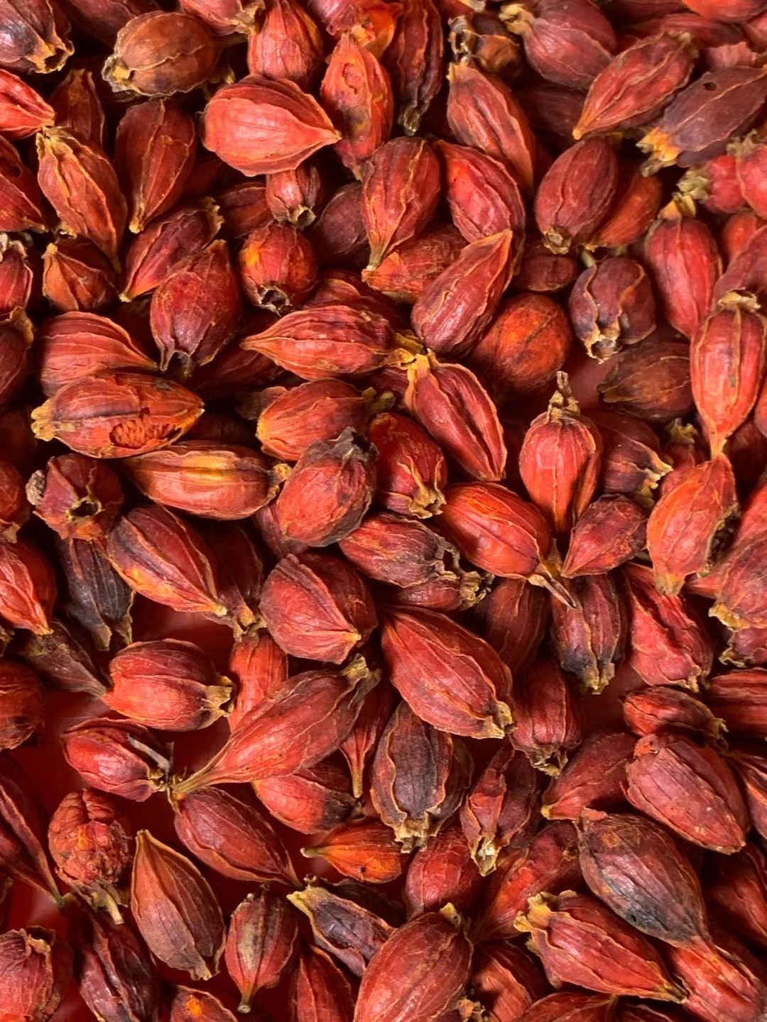 长期供应{山栀子}可批量可零售量大从优【包邮】