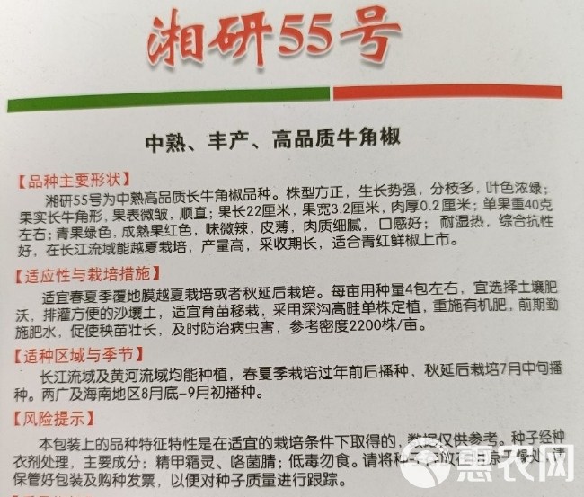 湘研55号 湘研55 中熟牛角椒种子耐热高产抗性强薄皮口感佳