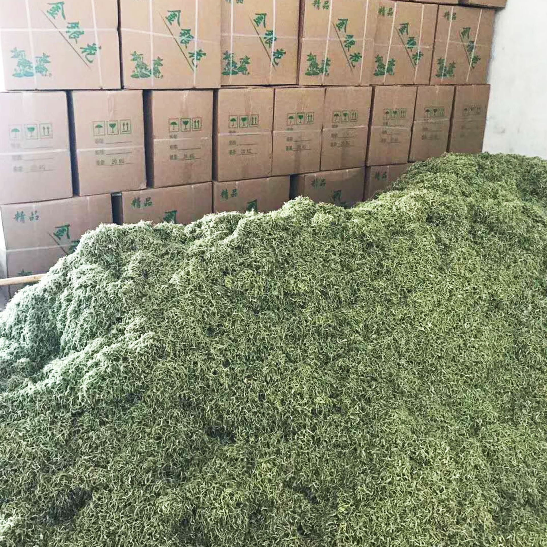 河南封丘干金银花散装当季新货 花草茶现货批发供应湖南山银花