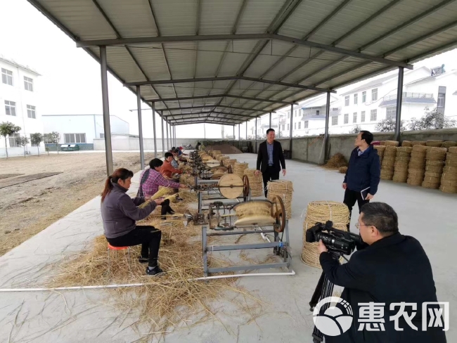 捆扎绳  草绳草制品捆树干捆土球包装材料草绳麻绳