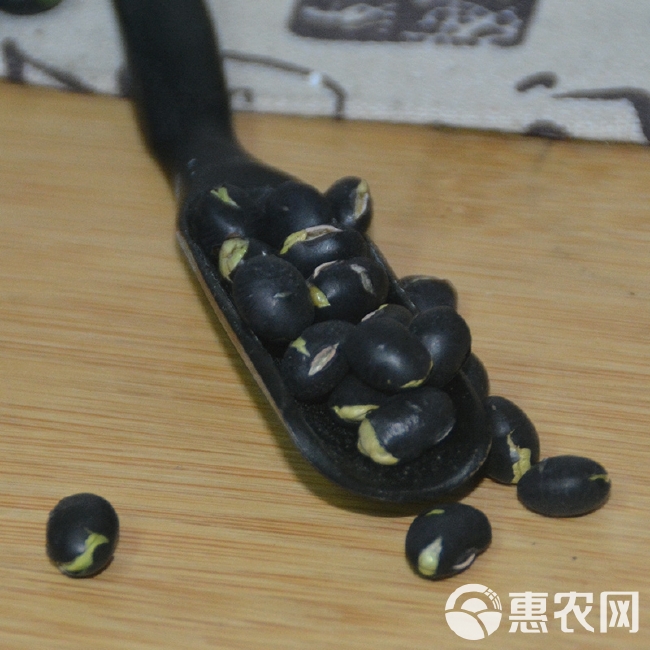 青仁黑豆 黄仁黑豆 青芯黑豆 大粒黑豆 中粒黑豆 小粒黑