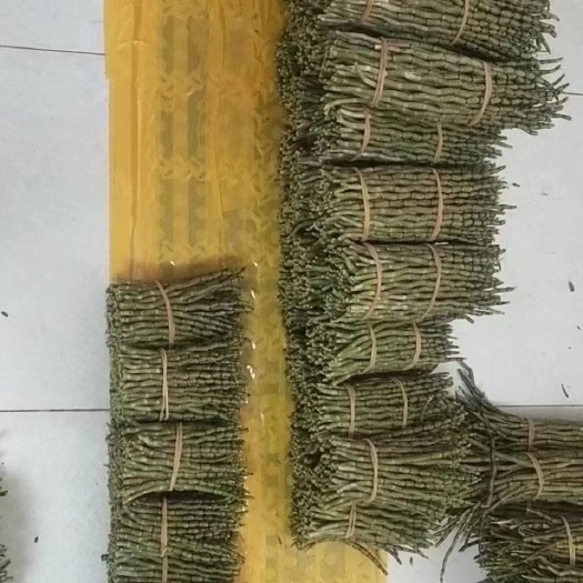 马关县铁皮石斛鲜条大量有货  需要联系