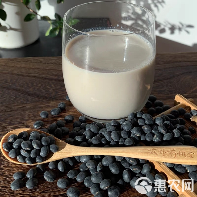 青仁黑豆 黄仁黑豆 青芯黑豆 大粒黑豆 中粒黑豆 小粒黑