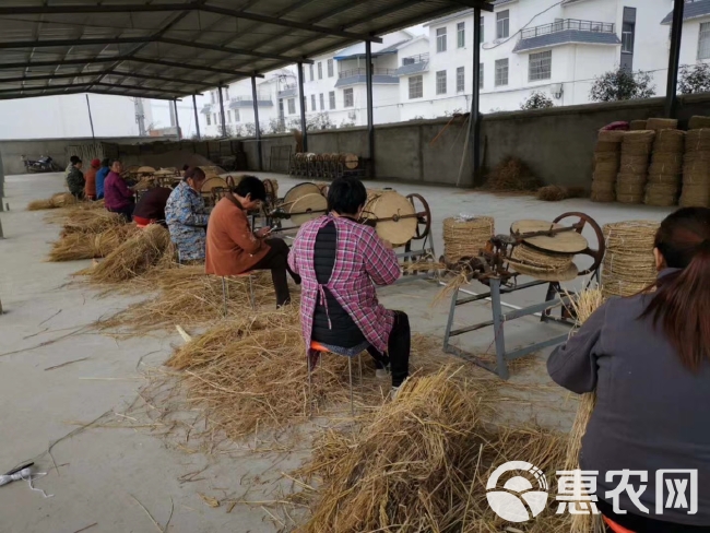 捆扎绳  草绳草制品捆树干捆土球包装材料草绳麻绳