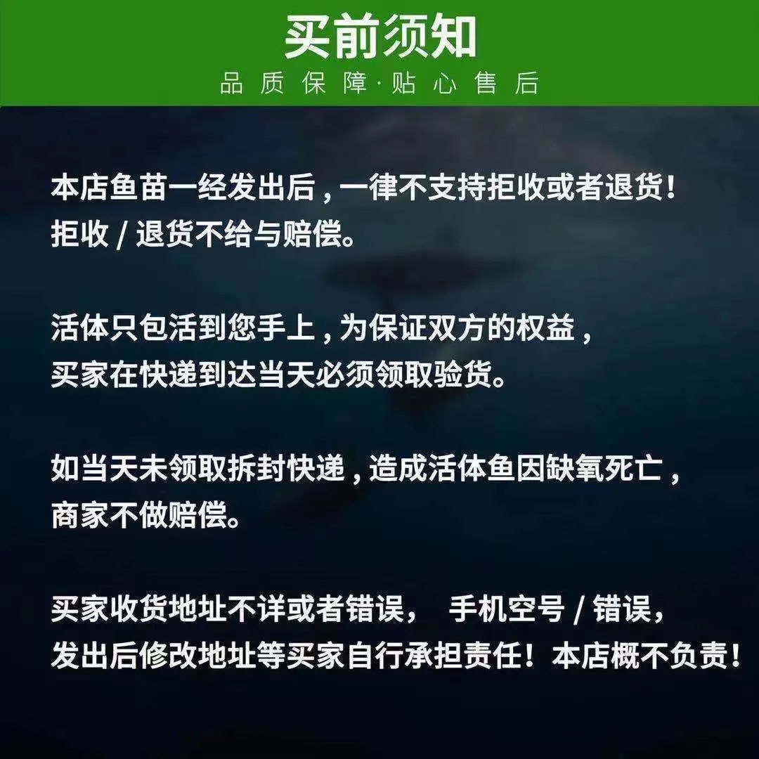 优质武昌鱼苗水花苗夏花鳊鱼苗扁鱼苗团头鲂养殖热卖
