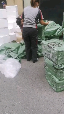 绥阳县蒙特瑞四季草莓苗种一年管两年产量高易种红颜草莓苗口感一留