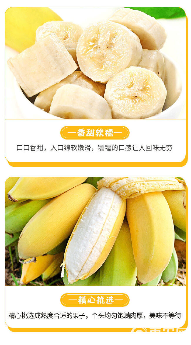 广西小米蕉当季新鲜水果苹果蕉粉蕉西贡香蕉5/9斤整箱包邮