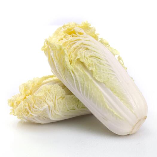 宜城市青杂三号白菜 娃娃菜，白菜，包菜