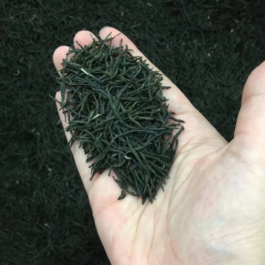 横州市毛尖茶  清香毛尖