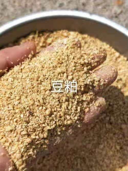 广宗县大厂豆粕。合同价。全国发货。有需要的联系。先到先得。货不多。