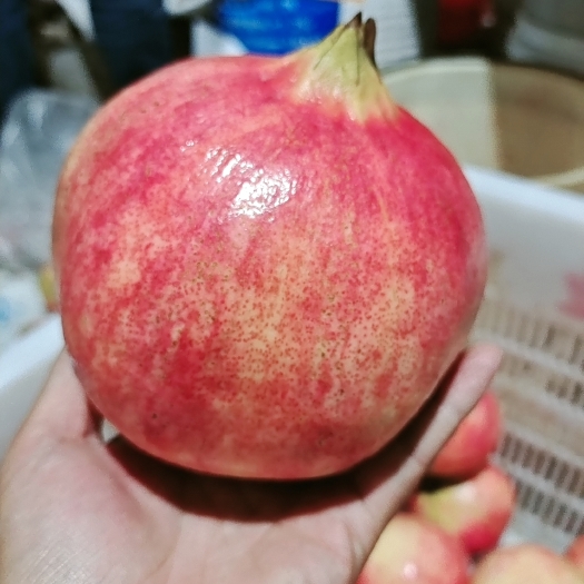 姚安县突尼斯软籽石榴，皮薄，多汁，口感清甜，天然