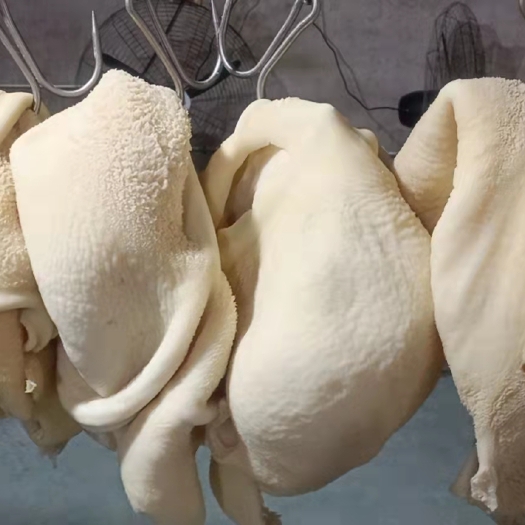 大连牛肚