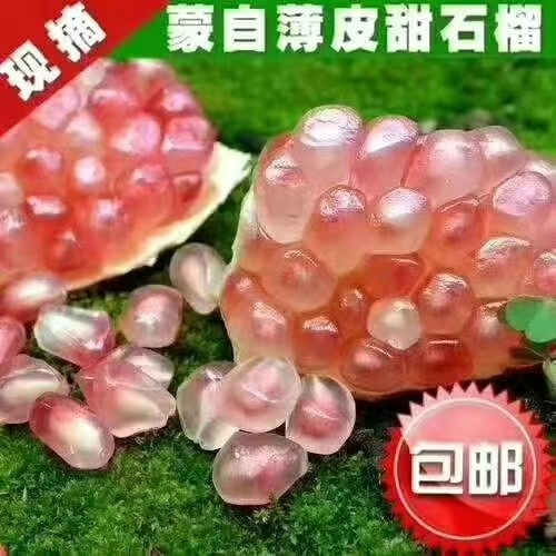 蒙自市云南蒙自绿籽石榴～原产地批发
