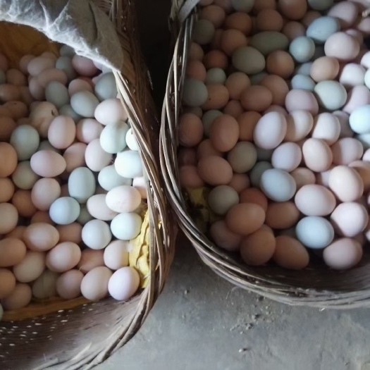 养殖场直供土鸡蛋 一件代发支持线上保障交易！