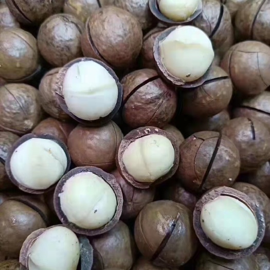 西安新货奶油味夏威夷果特大夏果