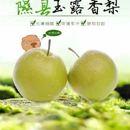 隰县香梨隰(xi)县玉露香梨