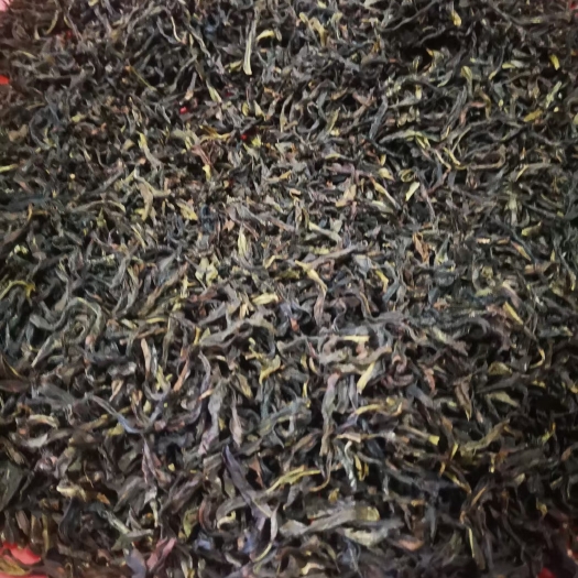 石门县单丛茶  正宗广东潮州凤凰单枞茶