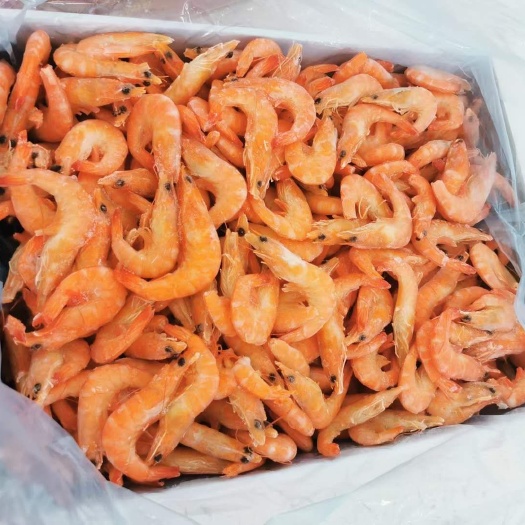 南宁中国对虾 熟虾40-50克规格
