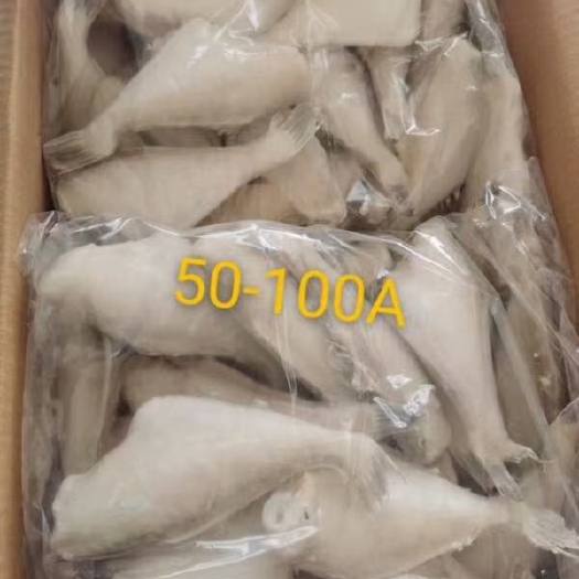郑州马面鱼  耗鱼 质量好 价格不高