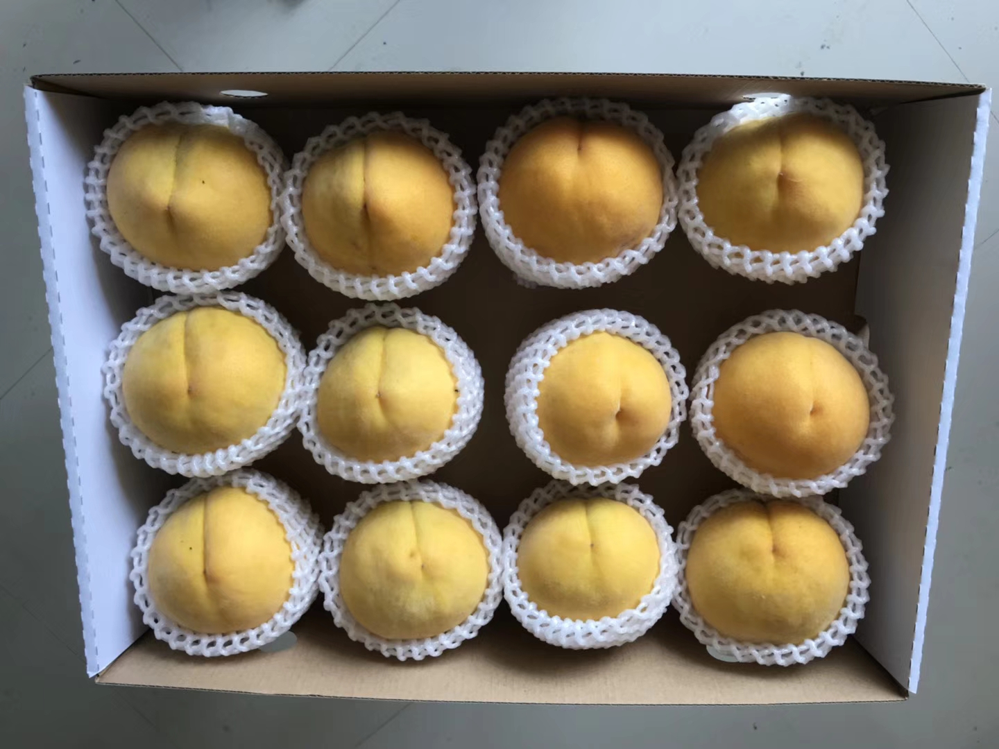 锦绣黄桃苗 上海奉贤黄桃树苗 中熟品种 鲜食口感好