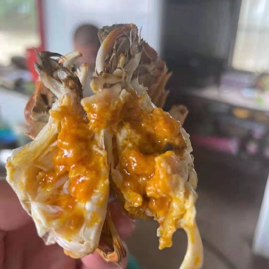 沭阳县红螯螯虾 江苏货，
