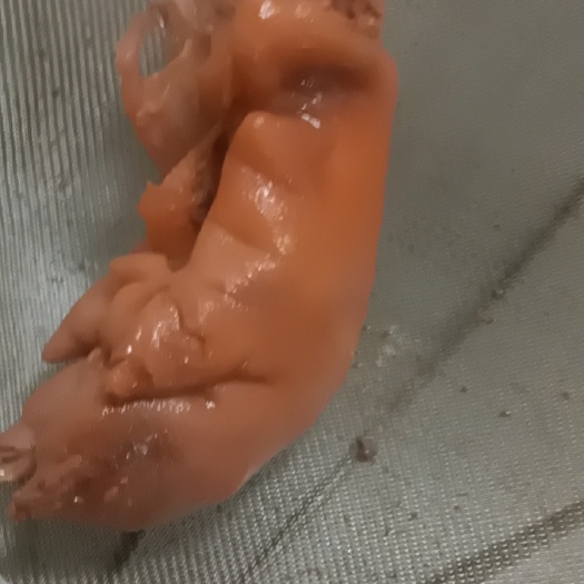 丰县卤猪蹄 丰县香里香熟食加工卤煮猪蹄