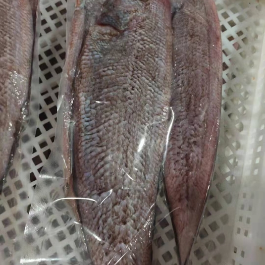 漳浦县舌头鱼 比目鱼
