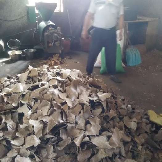 樟树市 茶枯
