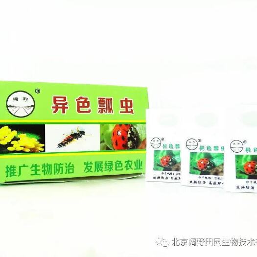 北京生物防治虫 异色瓢虫卵卡、龟纹瓢虫卵卡、防治蚜虫木虱蚧壳虫