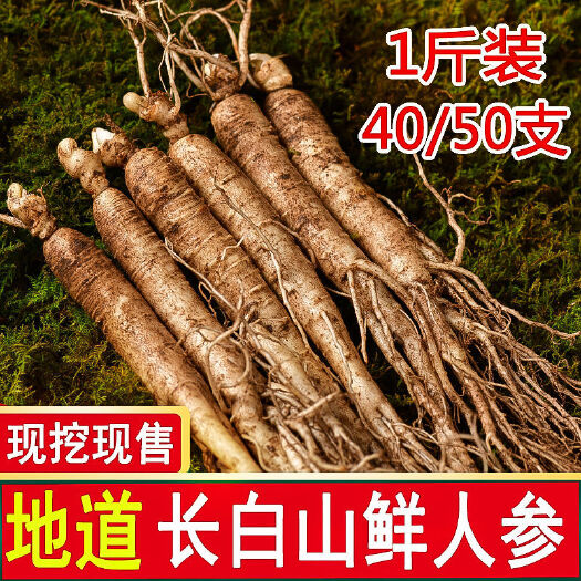通化县园参  带土鲜人参