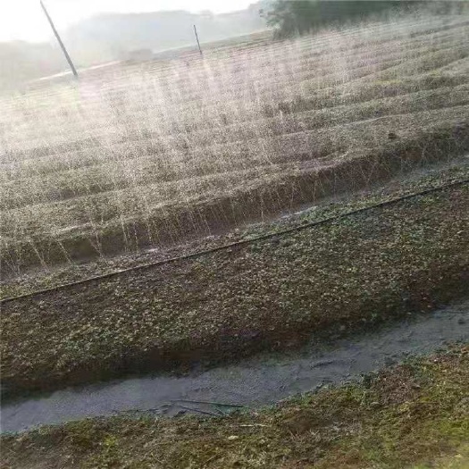 郓城县滴灌带 菏泽郓城喷灌带现货批发质量优良
