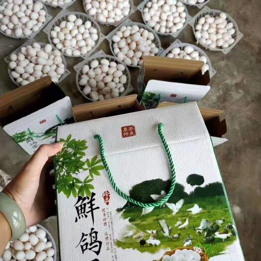 赵县鲜鸽子蛋