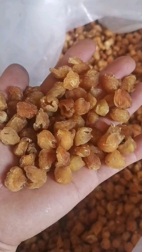 桂圆干  石硖龙眼干