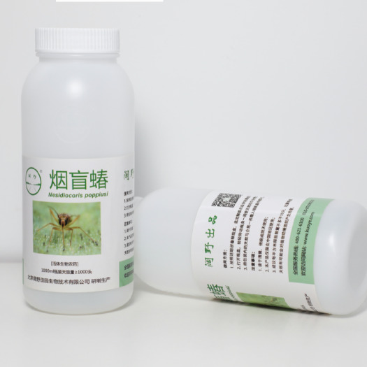 北京生物防治虫 烟盲蝽 捕食性天敌 益虫 盲蝽 粉虱 蚜虫 瓜果 蔬菜 园艺