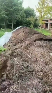 天台县 羊粪