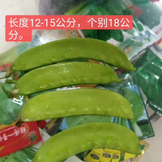 101类型紫红大荚口感好，长度13-15公分，宽度2.5公分